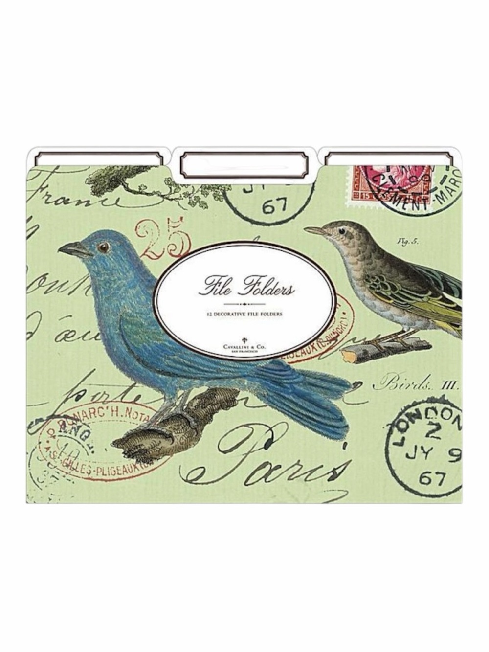 Cavallini Decorative Bird File Folders 
2 Packs of 12